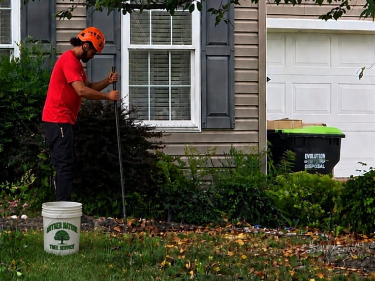 Mother Nature crew member injecting the root zone of a yard tree with a feeding rod and bucket in Winchester, VA