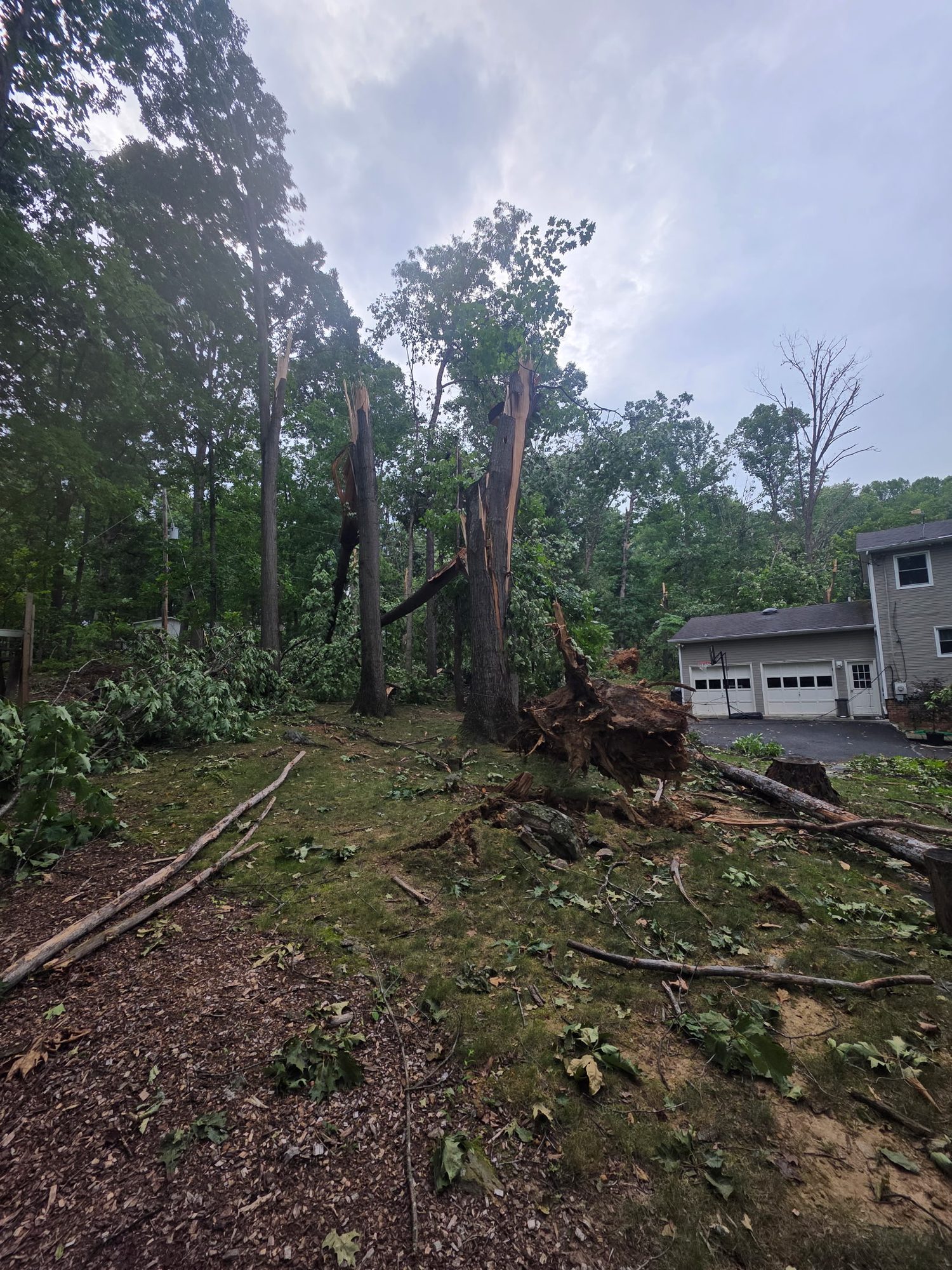Storm-split oaks and an uprooted trunk beside a garage, emergency tree service call near Winchester, VA